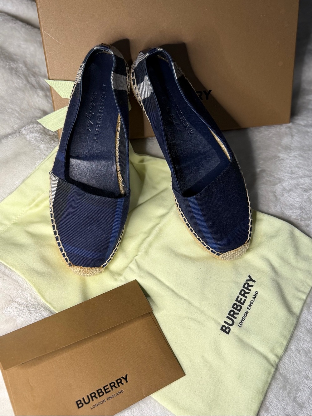 Burberry Navy and Indigo Canvas House Check Espadrilles - Picture 4 of 12